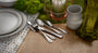 Angled view of Celtic 45-piece flatware set showing ornate engraved handles on forks and spoons with stacked white plates